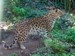 Tiergarten Schönbrunn am 03.10.2025